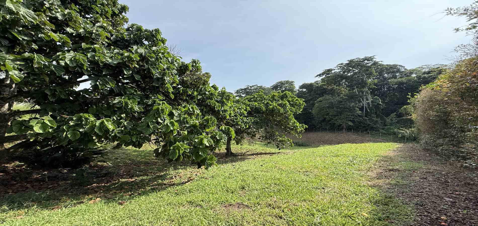 Foto de Lote / terreno en Venta en Cerritos, Pereira - 4 - 279062245