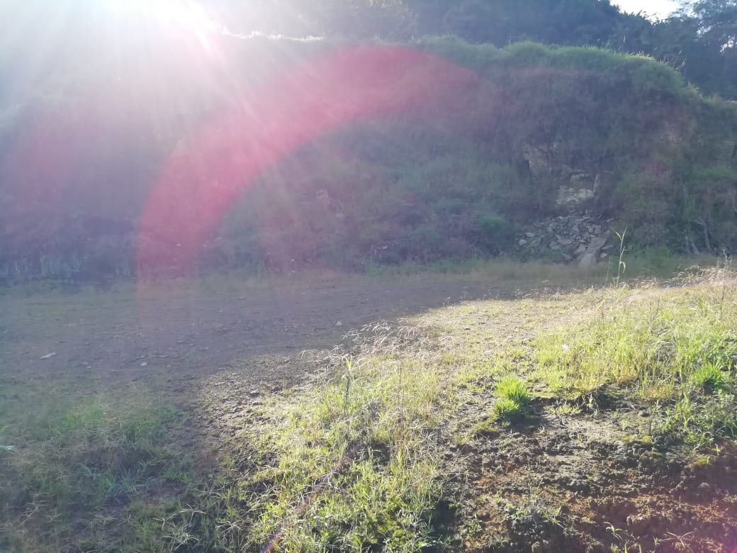 Foto de Finca en Venta en Vereda la esmeralda , Manzanares - 11 - 279057445