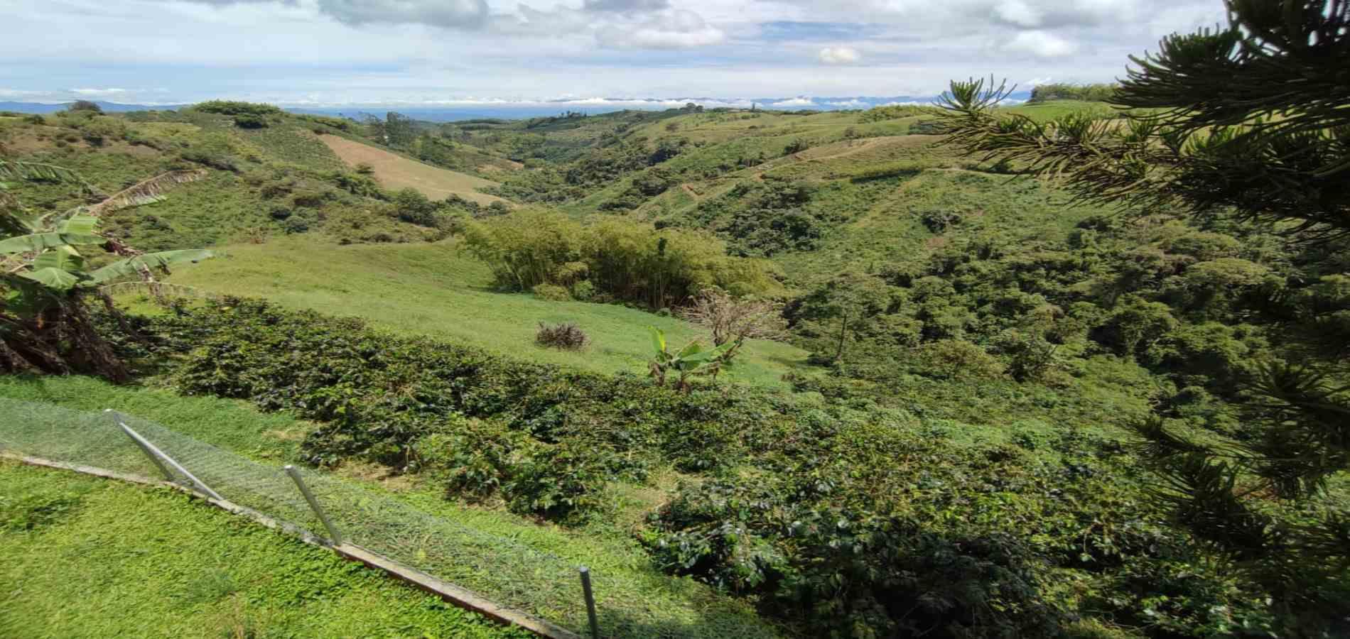 Foto de Finca en Venta en Vereda condina, Pereira - 15 - 279064120