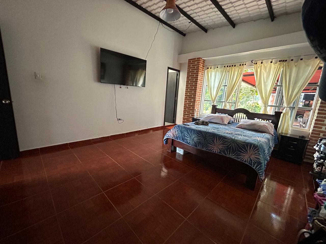 Foto de Finca en Venta en Alcala, Alcala - 1 - 279069727