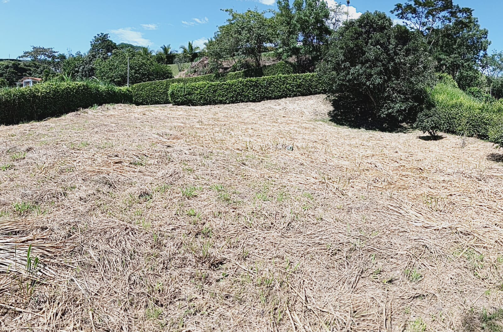 Foto de Lote / terreno en Venta en Kilometro 48, Manizales - 1 - 279062767