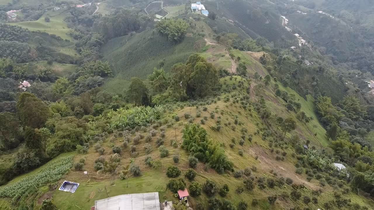 Foto de Lote / terreno en Venta en Llanitos, Villamaria - 15 - 279054085