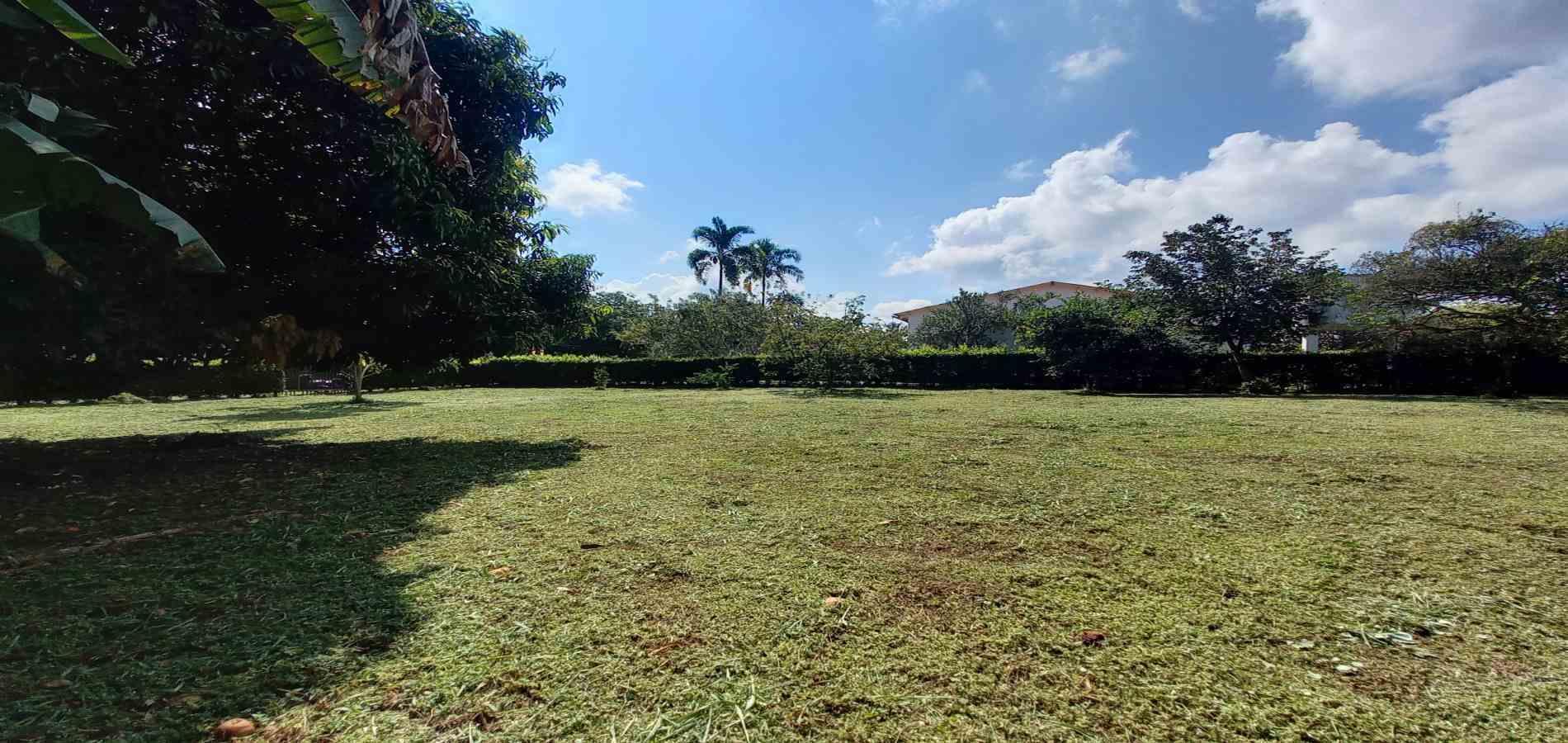 Foto de Lote / terreno en Venta en Vereda santagueda, Palestina - 15 - 279060420