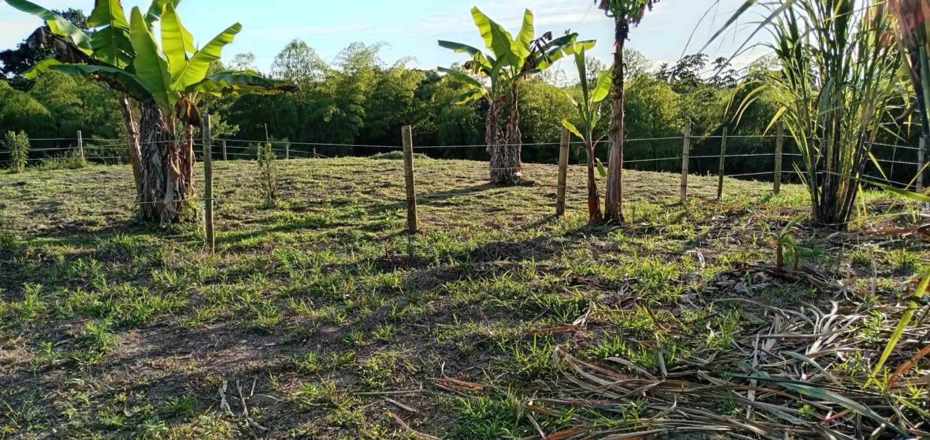 Foto de Lote / terreno en Venta en Centro, Quimbaya - 1 - 279068851