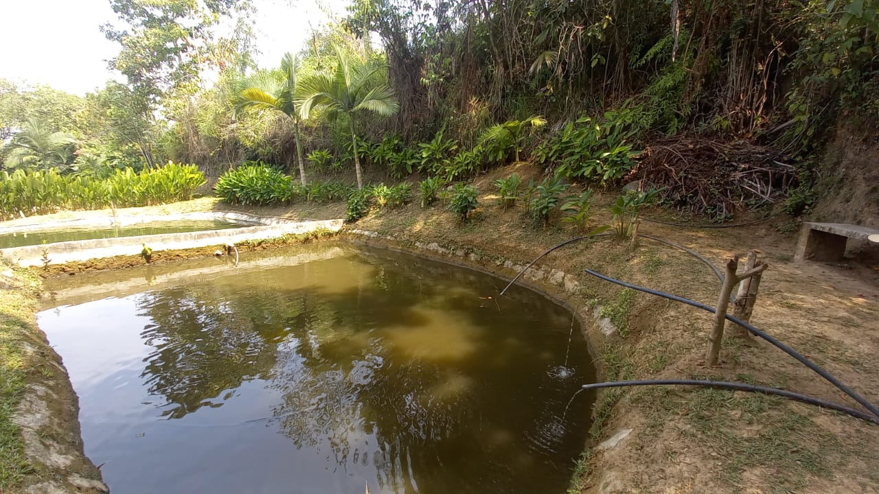 Foto de Lote / terreno en Venta en San peregrino, Manizales - 5 - 51861