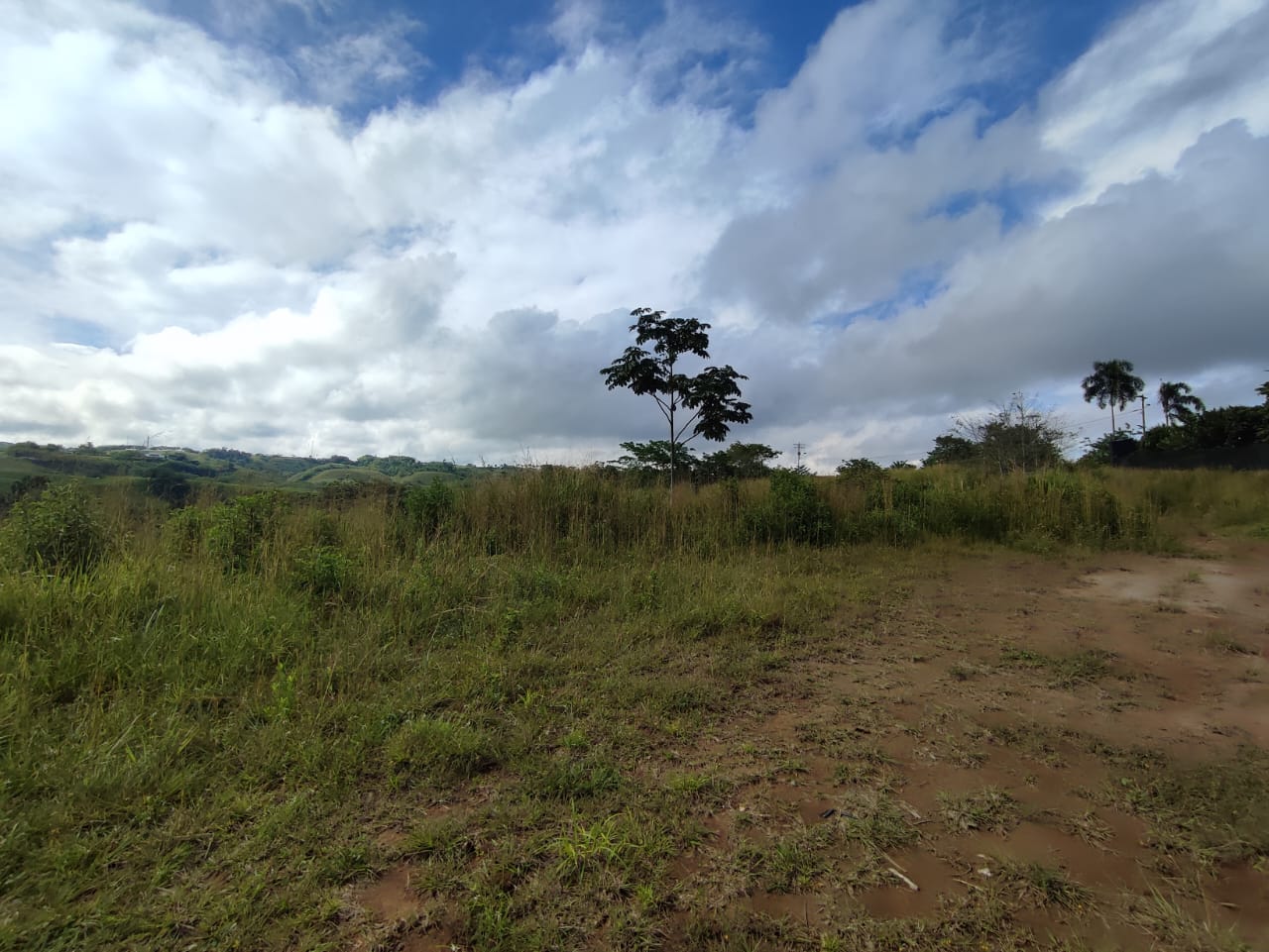 Foto de Lote / terreno en Venta en Cerritos, Pereira - 6 - 279063217