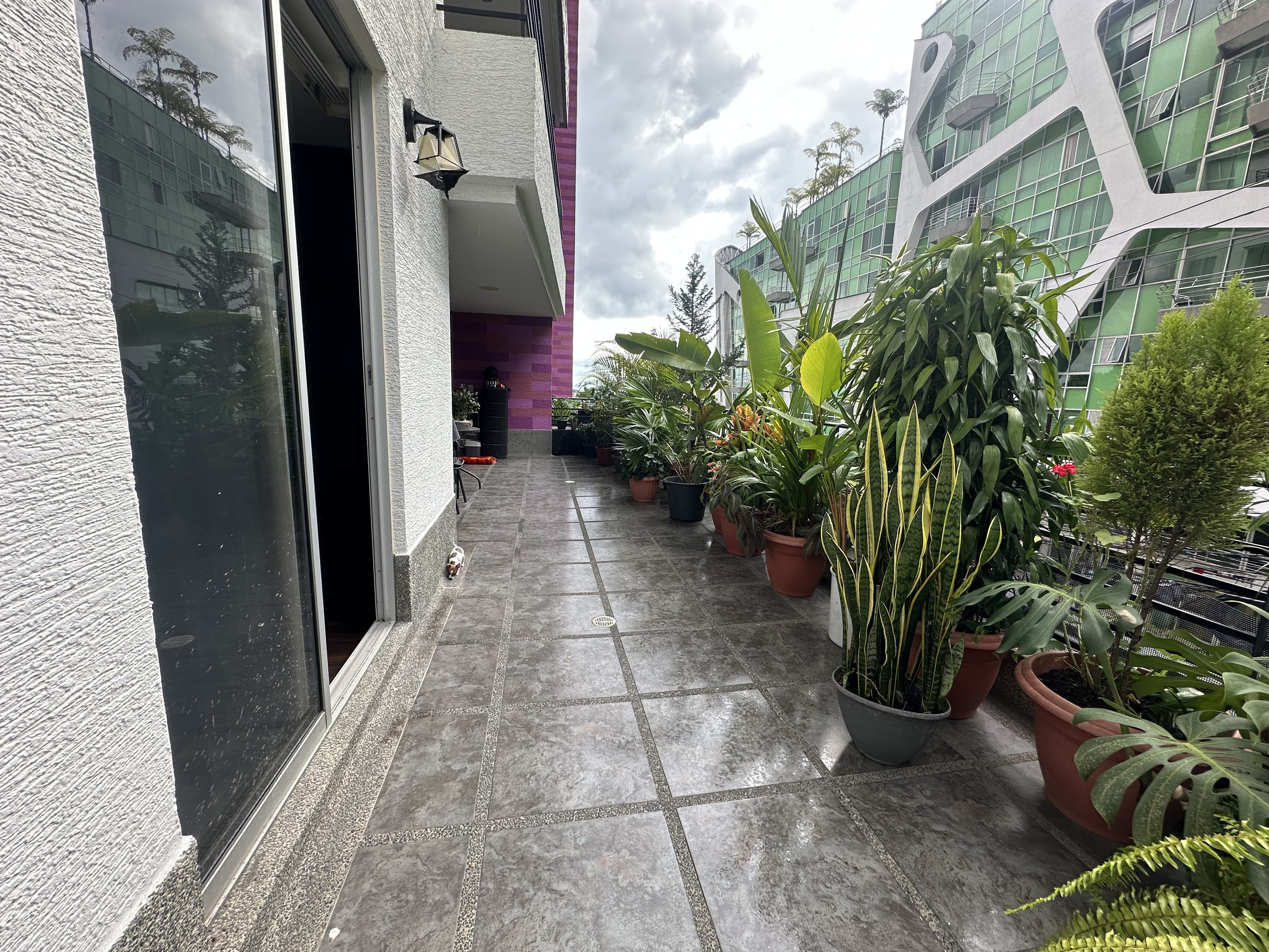 Foto de Apartamento en Venta en Av 19, Armenia  - 21 - 279069427