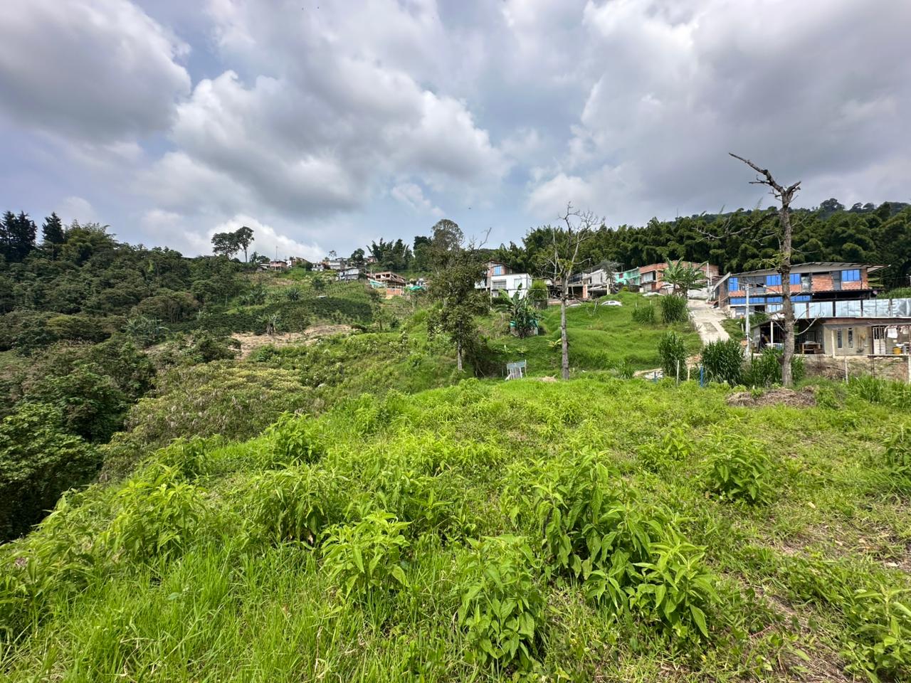 Foto de Lote / terreno en Venta en Arenillo, Manizales - 7 - 279067215