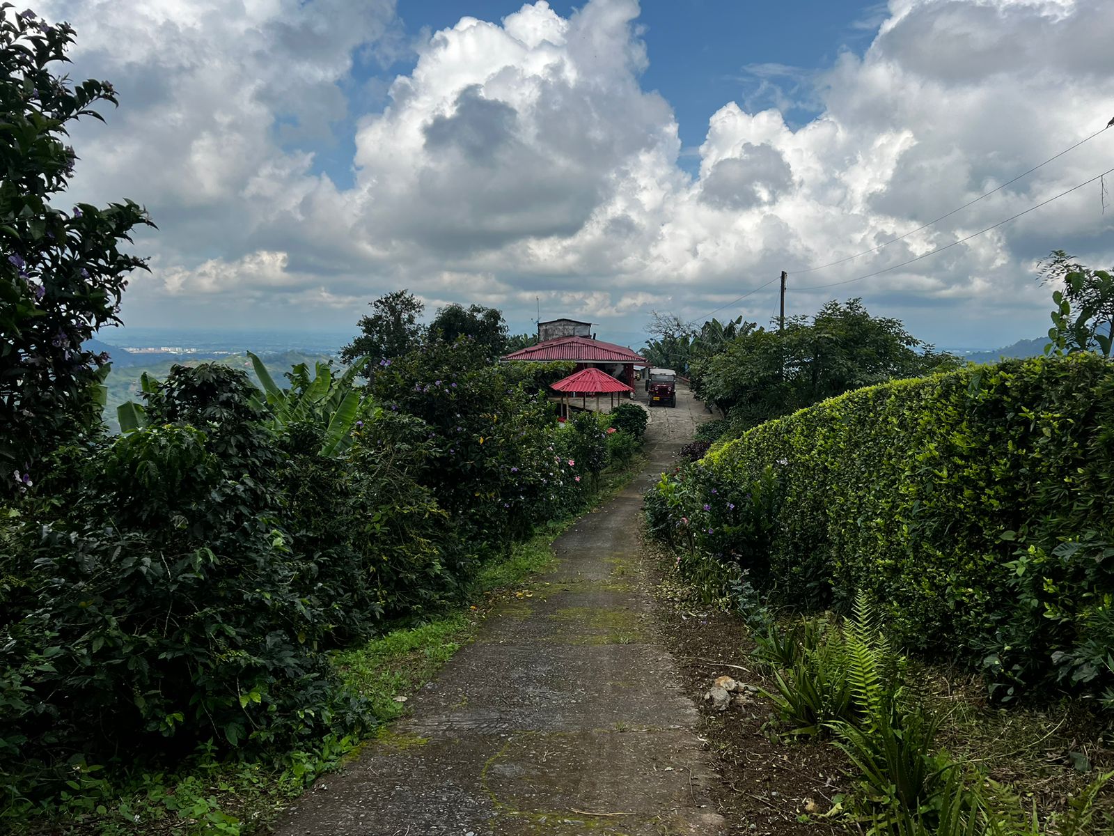 Foto de Finca en Venta en San vicente, Pereira - 13 - 279057869