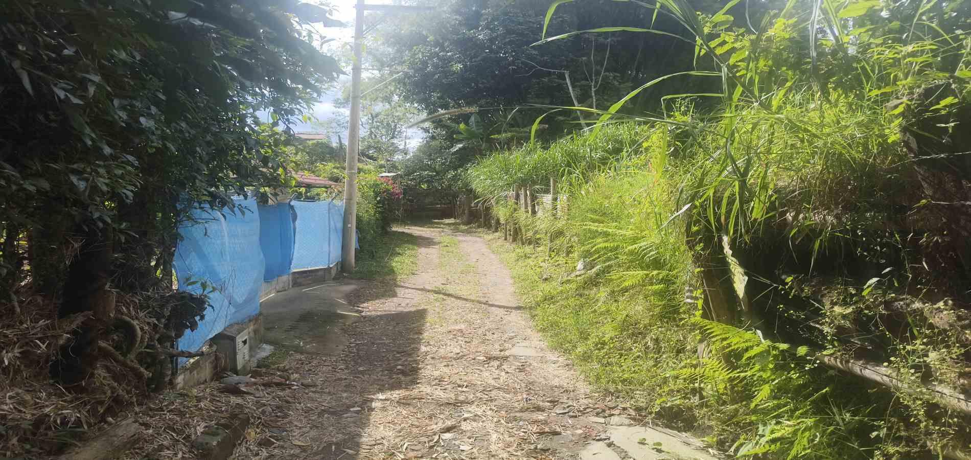Foto de Casa en Venta en Vereda la cristalina, Circasia - 26 - 279068219