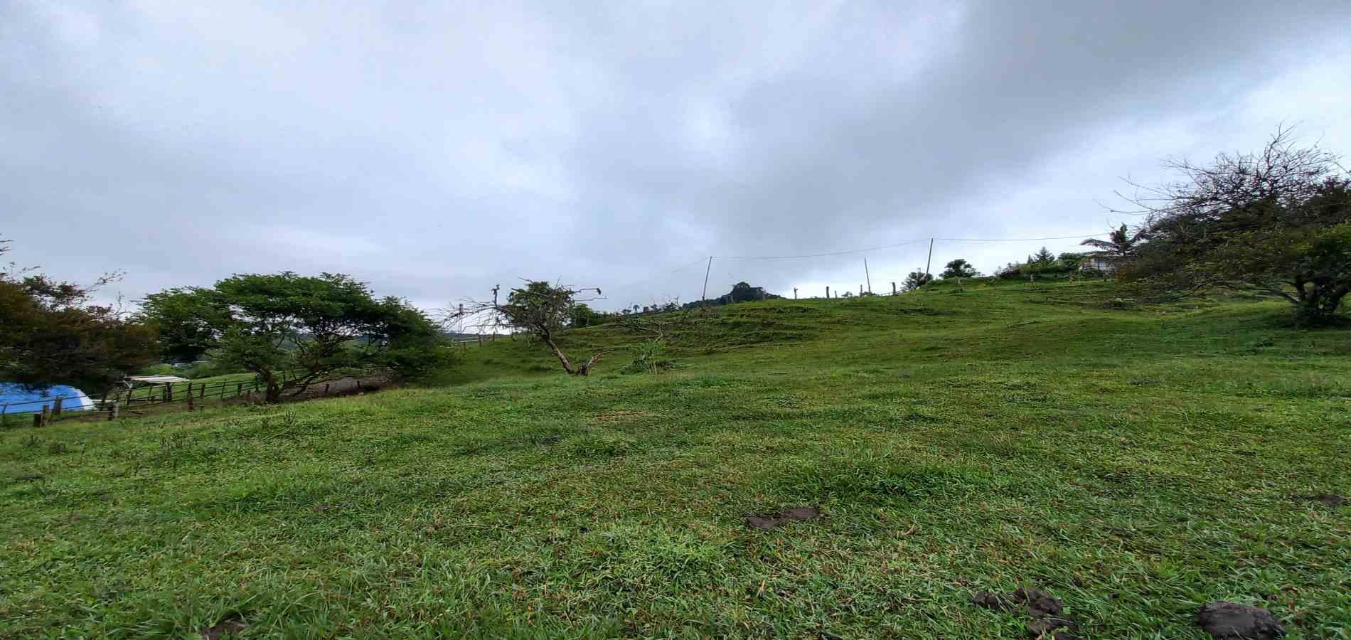 Foto de Lote / terreno en Venta en Veracruz, Santa rosa de cabal - 7 - 279066398