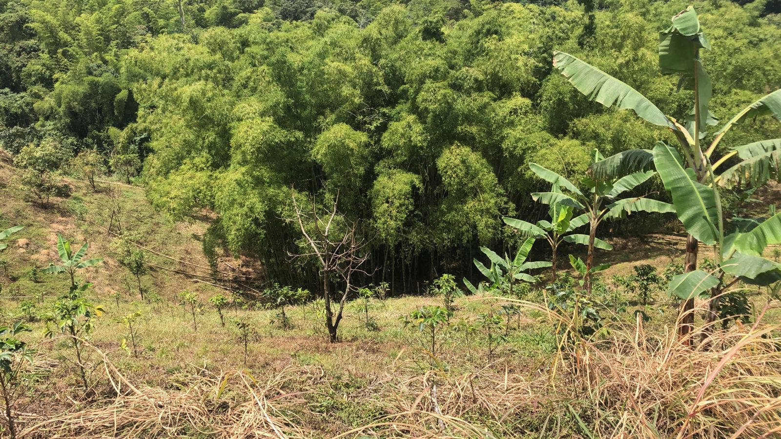 Foto de Lote / terreno en Venta en Dosquebradas, Dosquebradas - 5 - 279053269