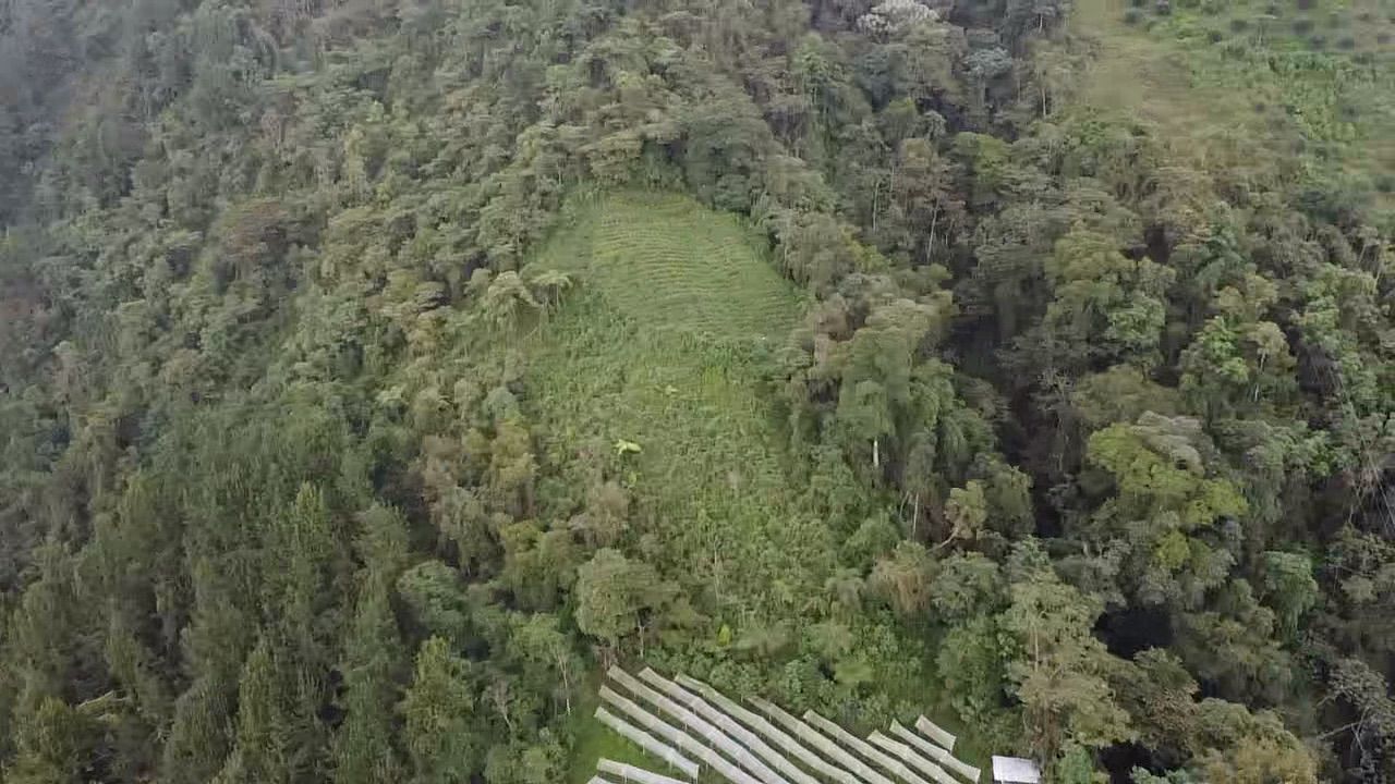 Foto de Lote / terreno en Venta en Llanitos, Villamaria - 4 - 279054085