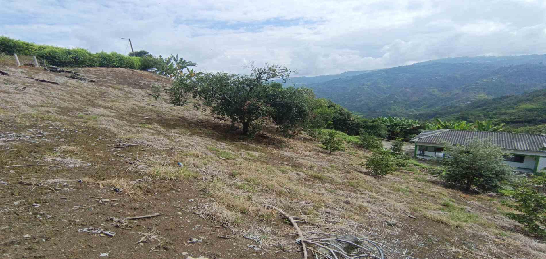 Foto de Casa en Venta en San peregrino, Manizales - 5 - 279070004