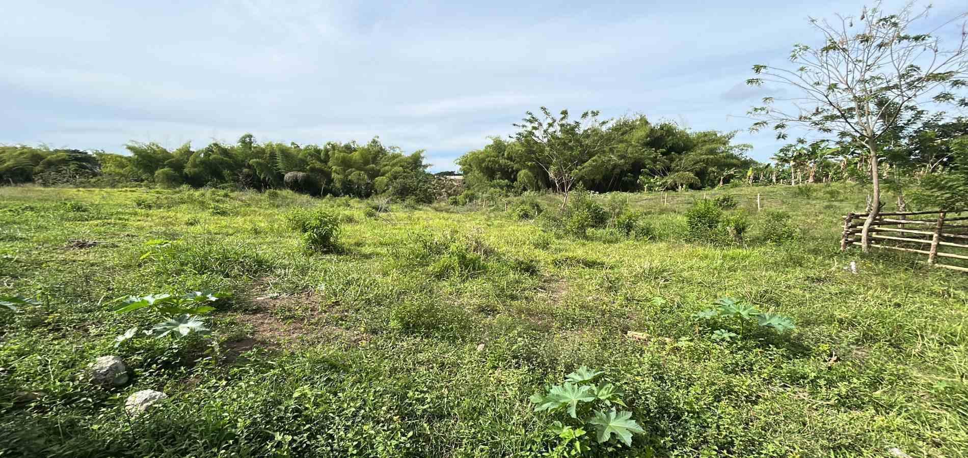 Foto de Lote / terreno en Venta en Cerritos, Pereira - 7 - 279068090