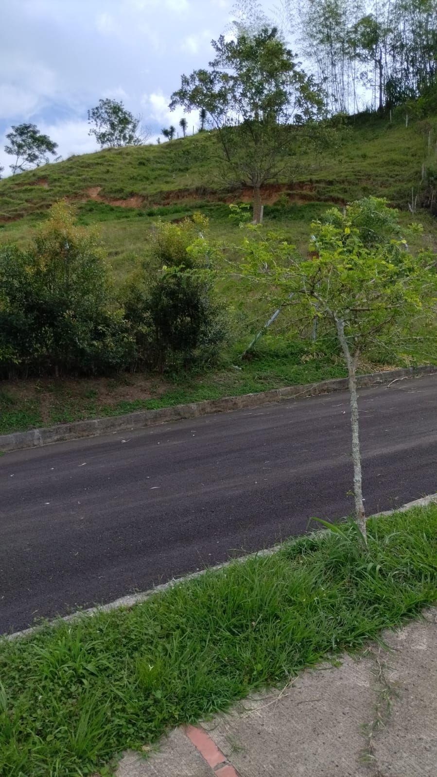 Foto de Lote / terreno en Venta en Poblado campestre brisas del mar , Viterbo - 9 - 279065896