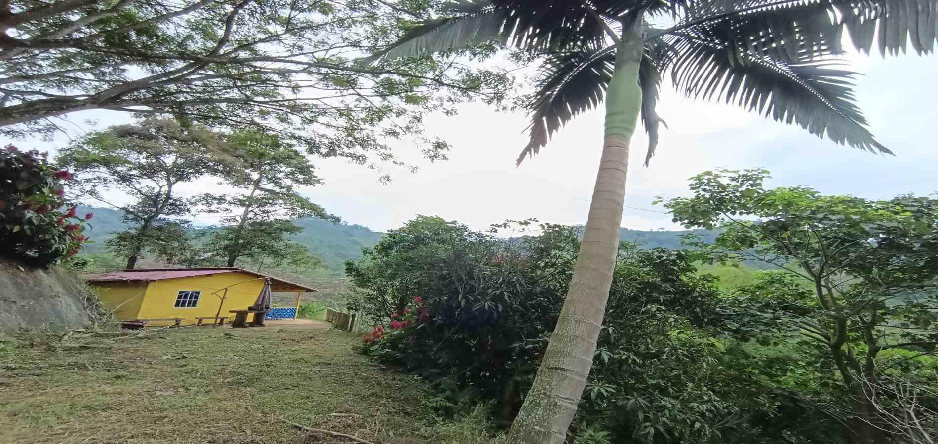 Foto de Lote / terreno en Venta en Vereda la trinidad, Manizales - 2 - 279066610