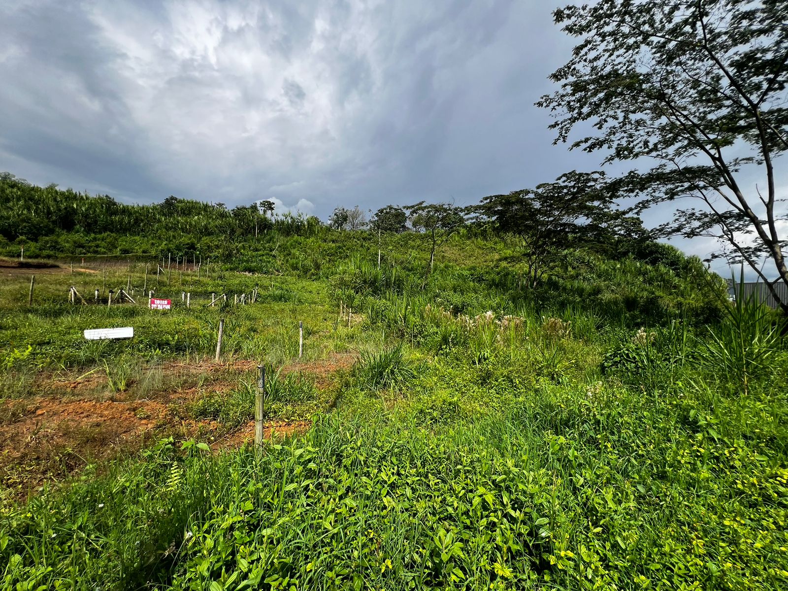 Foto de Lote / terreno en Venta en Bosques de la acuarela, Dosquebradas - 1 - 279057792