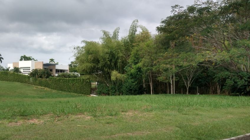 Foto de Lote / terreno en Venta en Cerritos, Pereira - 2 - 279056332