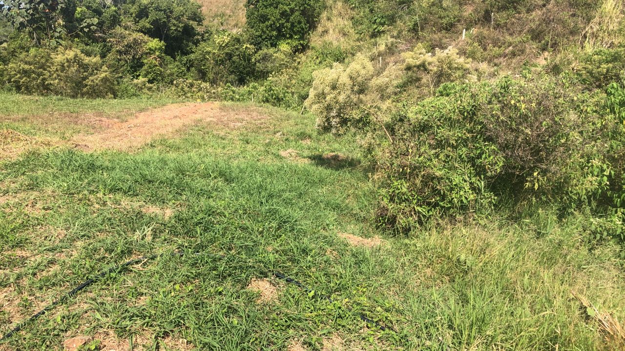 Foto de Lote / terreno para Venta en Centro, Pereira - 279055598