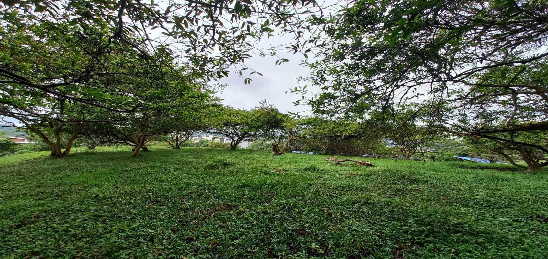 Foto de Lote / terreno en Venta en Veracruz, Santa rosa de cabal - 2 - 279066398