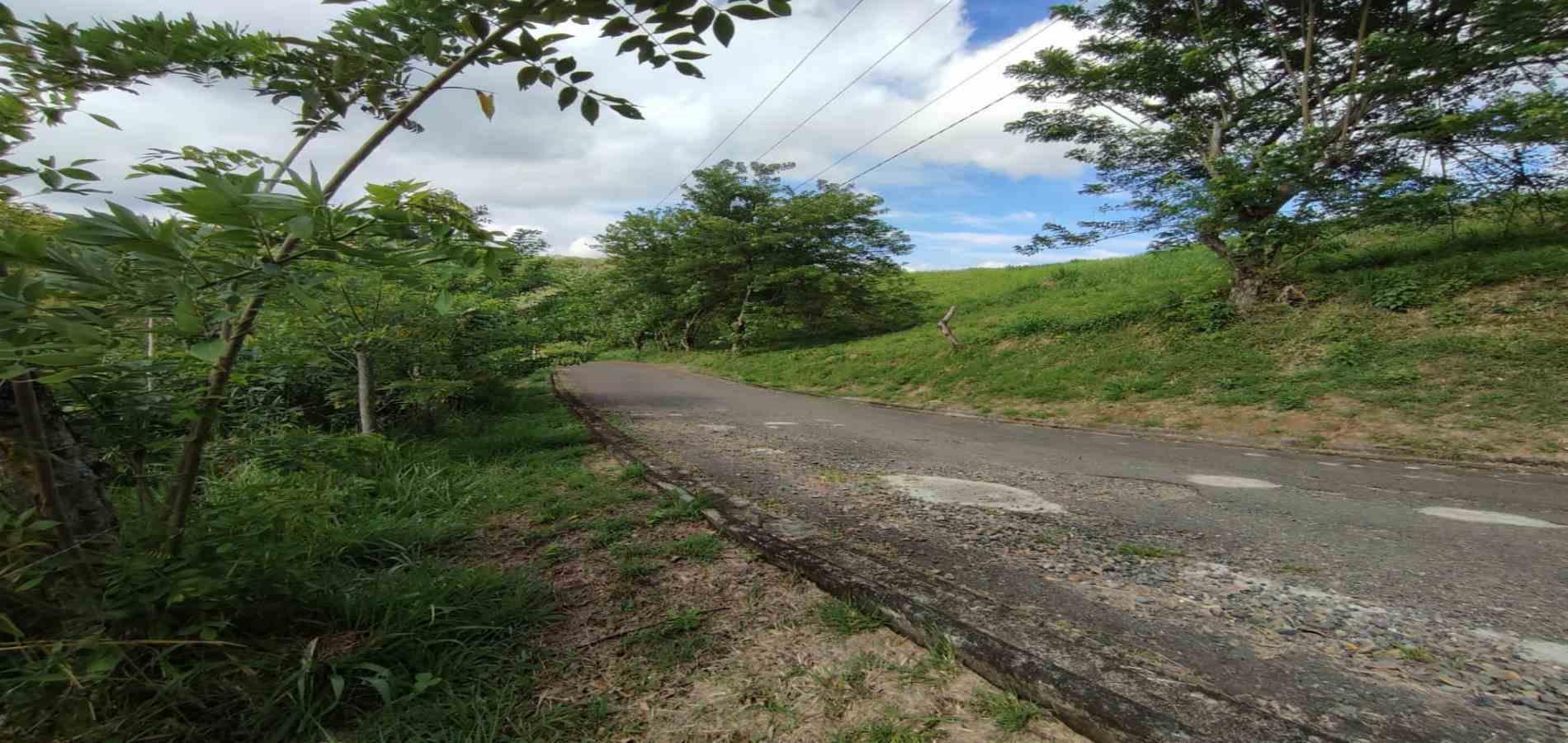 Foto de Lote / terreno para Venta en Cerritos, Pereira - 279063220
