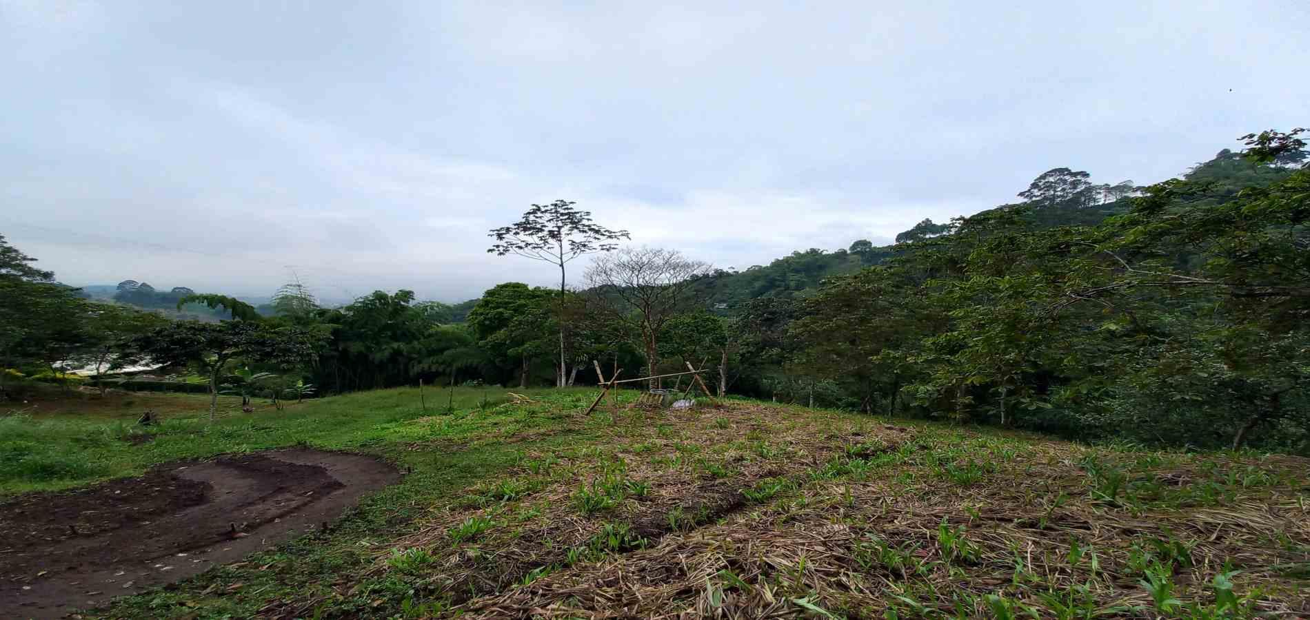 Foto de Lote / terreno en Venta en El bosque, Dosquebradas - 8 - 48802