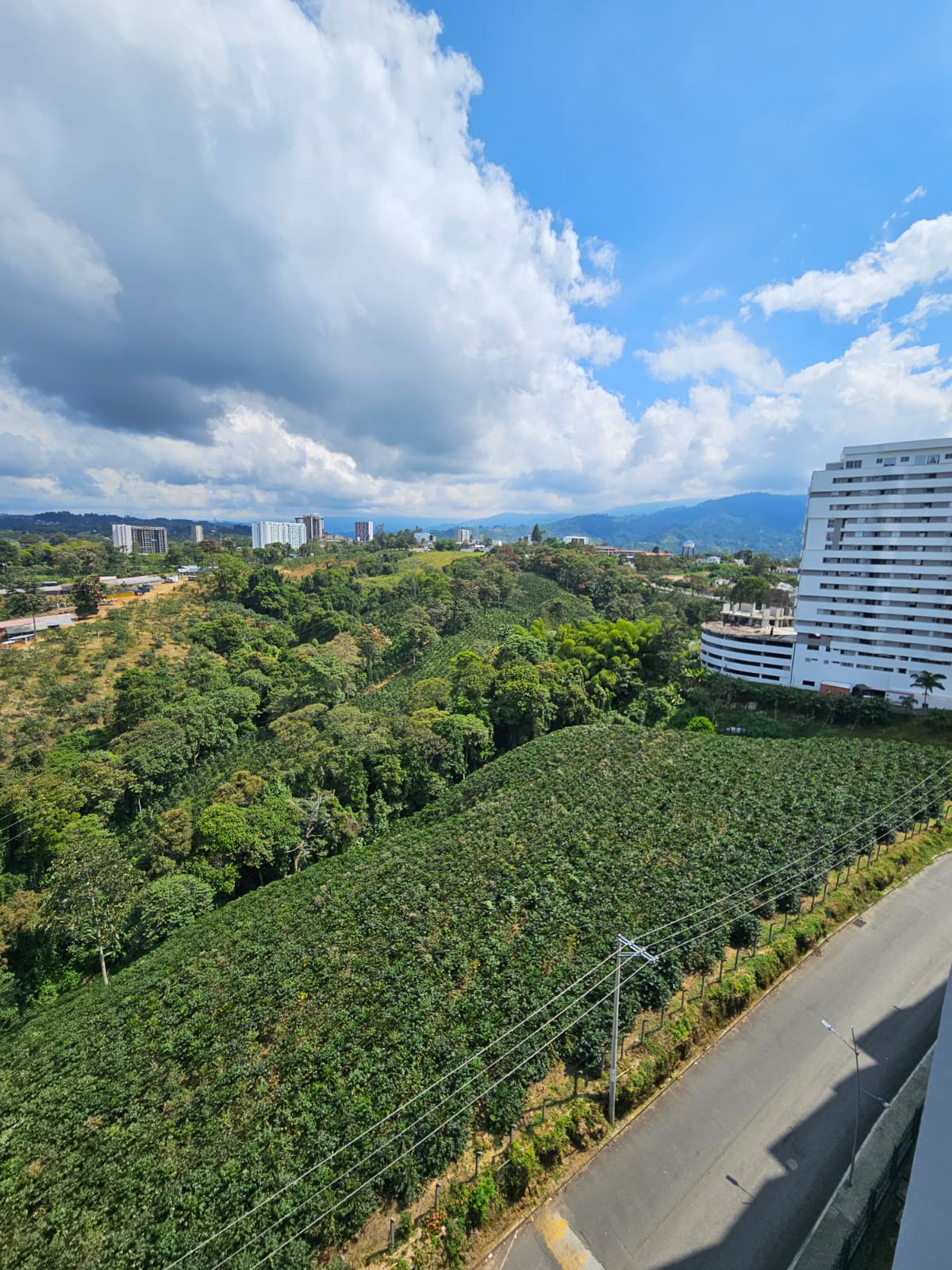 Foto de Apartamento en Venta en Avenida 19 norte, Armenia  - 3 - 279062890