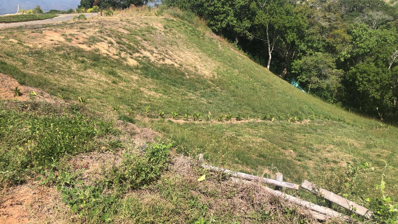 Foto de Lote / terreno en Venta en Cerritos, Pereira - 3 - 279055628