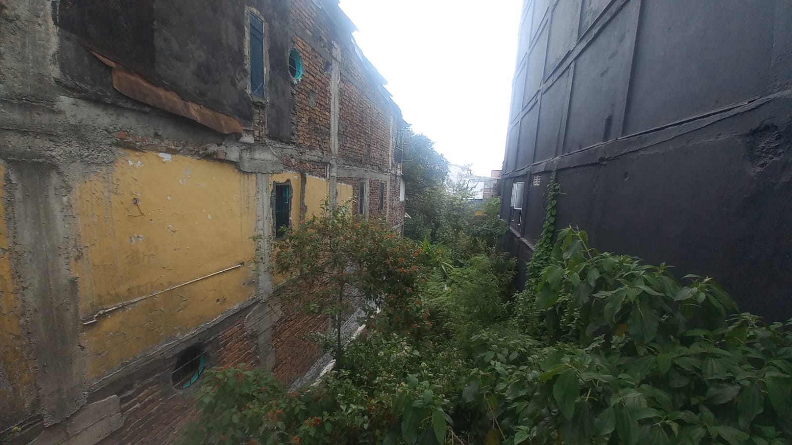 Foto de Lote / terreno en Venta en Fundadores, Armenia  - 7 - 279056606