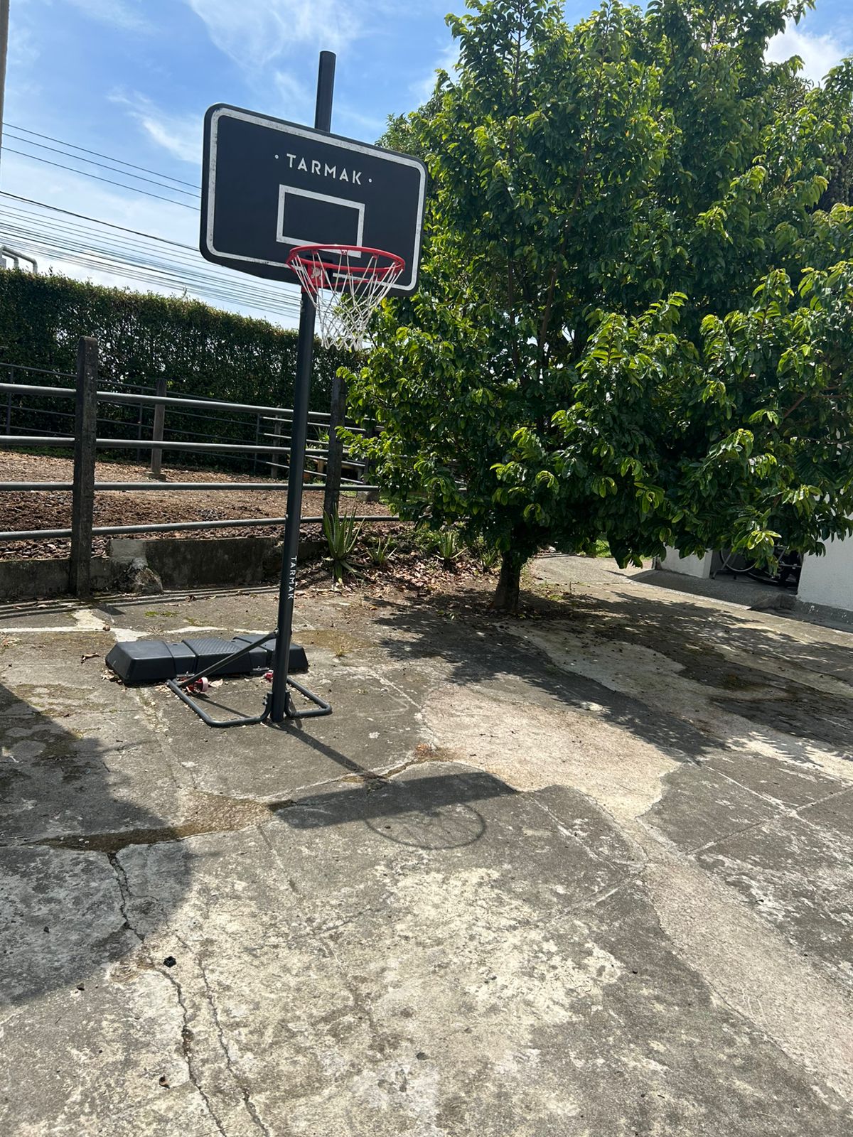Foto de Finca en Arriendo en Morelia, Pereira - 12 - 279064174