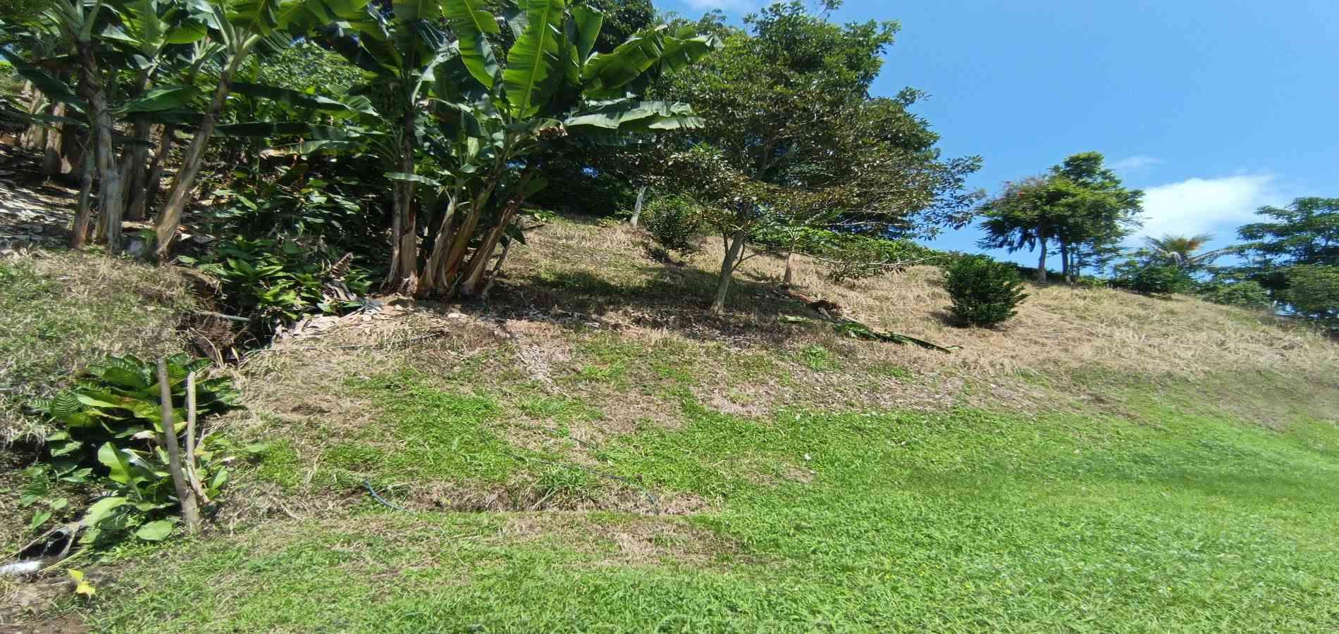 Foto de Lote / terreno en Venta en La plata, Palestina - 7 - 279067174