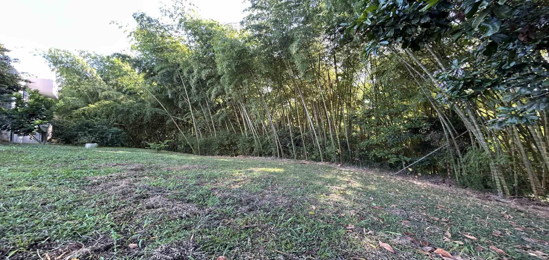 Foto de Lote / terreno en Venta en Cerritos, Pereira - 19 - 279069202