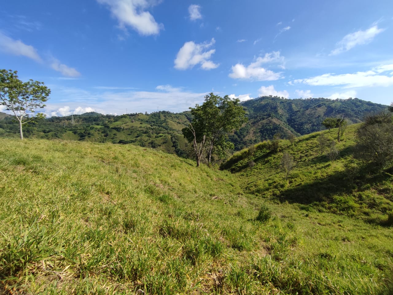 Foto de Lote / terreno en Venta en Cerritos, Pereira - 18 - 279064552