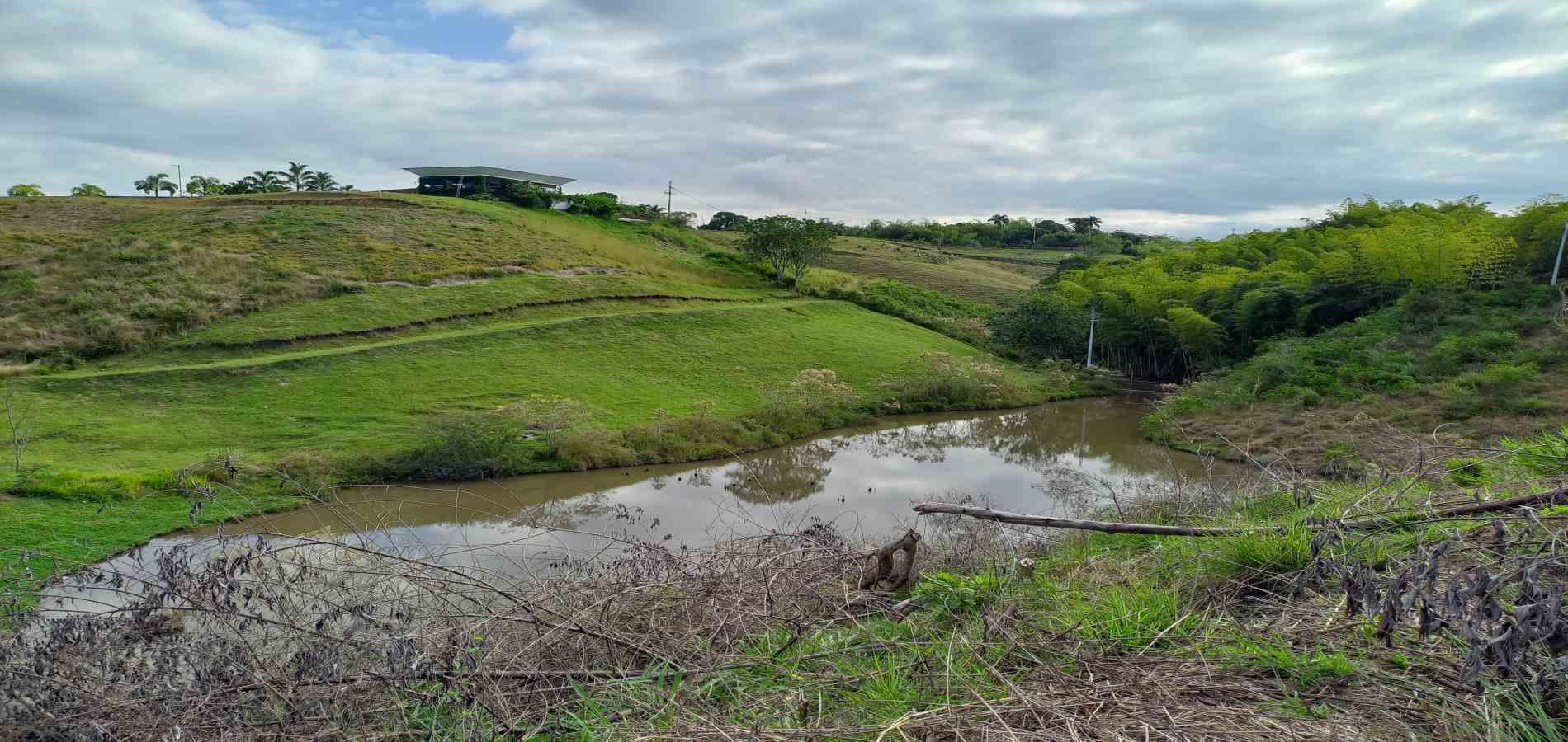 Foto de Lote / terreno en Venta en Cerritos, Pereira - 11 - 279067404