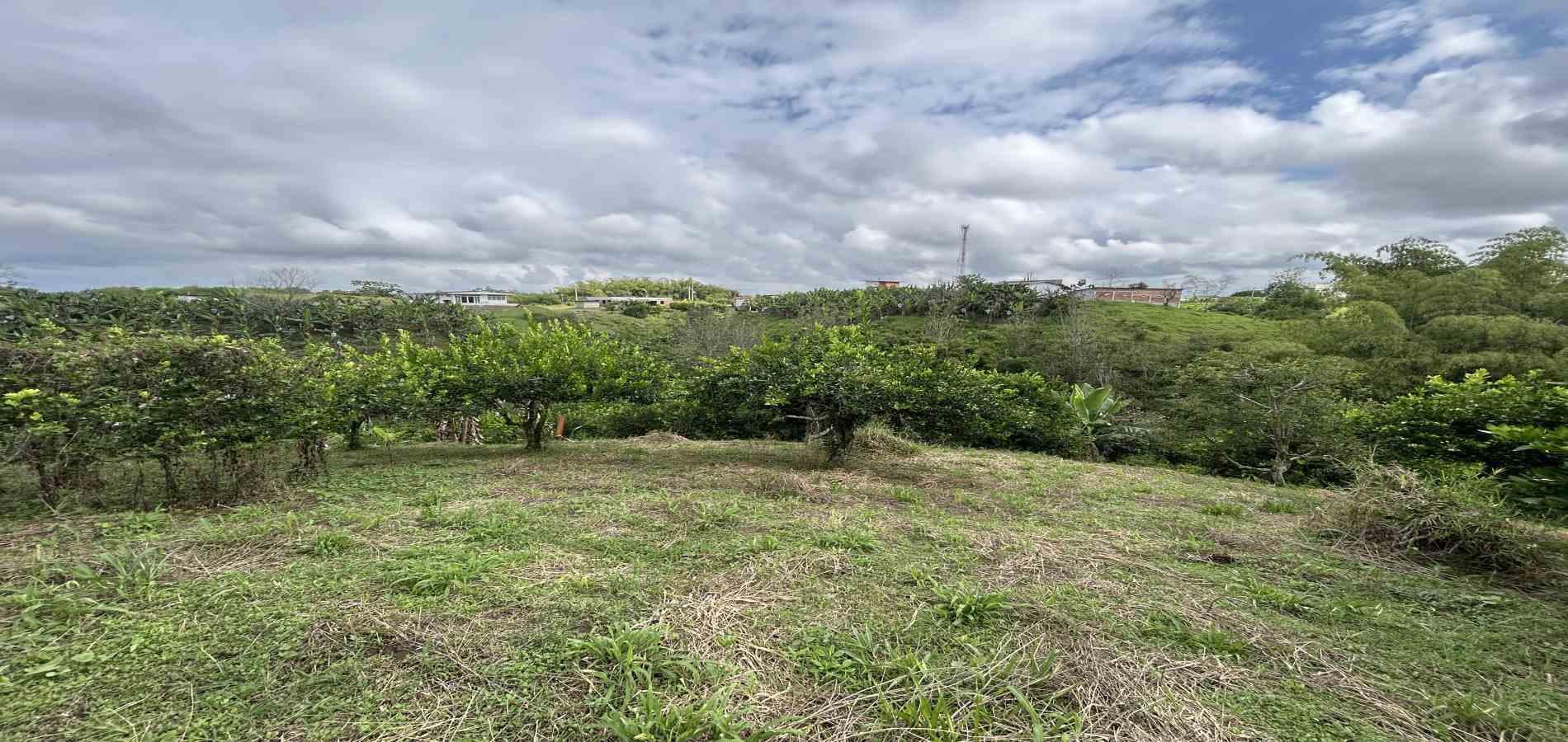 Foto de Finca en Venta en Morelia, Pereira - 38 - 279067012