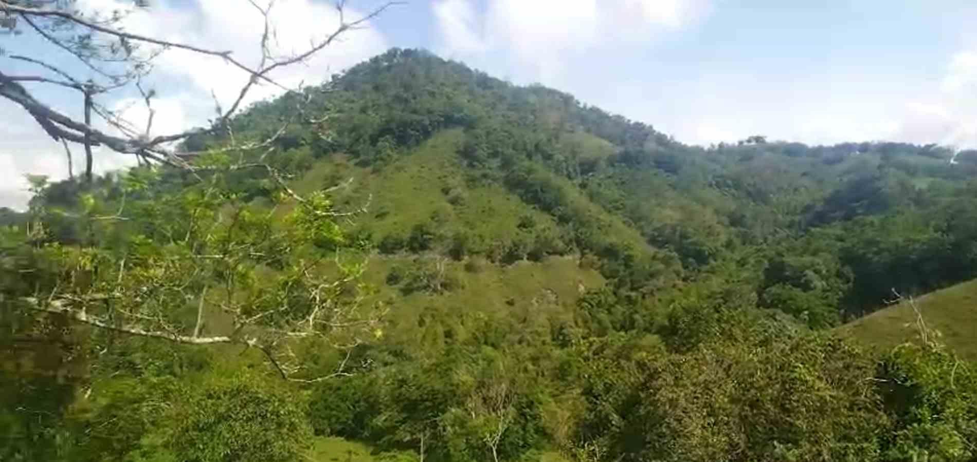 Foto de Finca en Venta en La florida, Filadelfia - 3 - 279064213