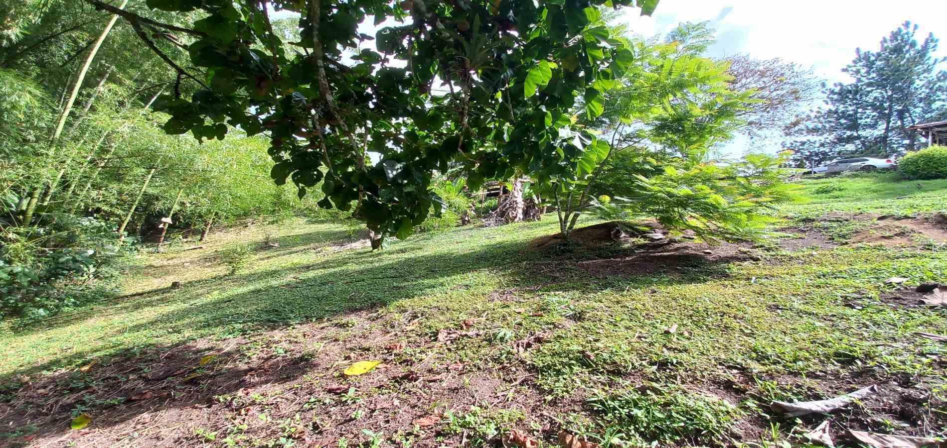 Foto de Casa campestre en Venta en Via armenia, Pereira - 14 - 279069593