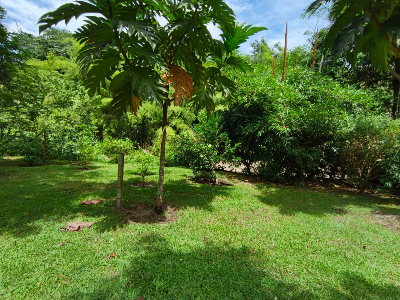 Foto de Lote / terreno en Venta en Condominio campestre reserva del campo, Manizales - 8 - 279064110