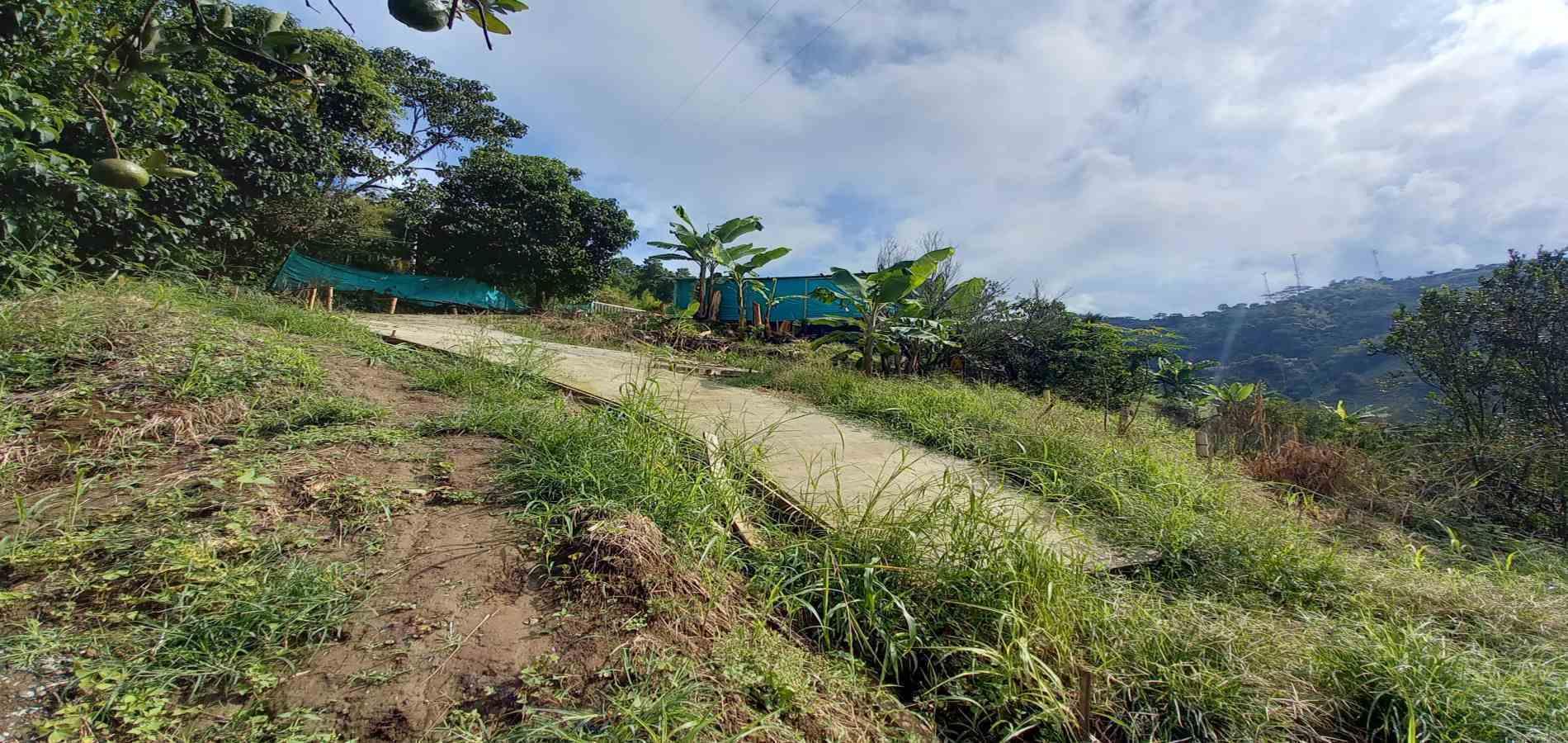 Foto de Finca en Venta en San peregrino, Manizales - 12 - 279061656