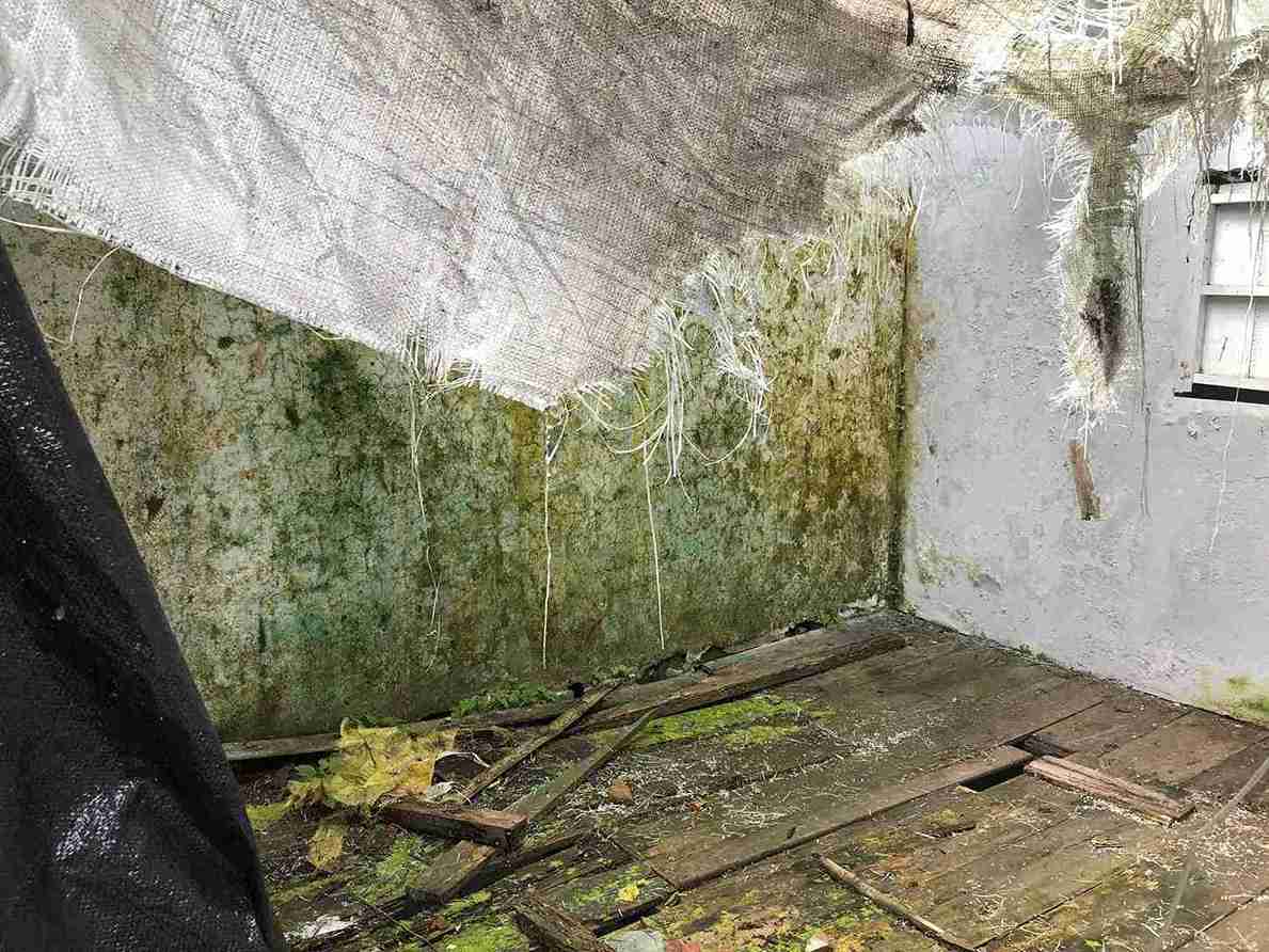 Foto de Lote / terreno en Venta en Mejia robledo, Pereira - 5 - 279052409