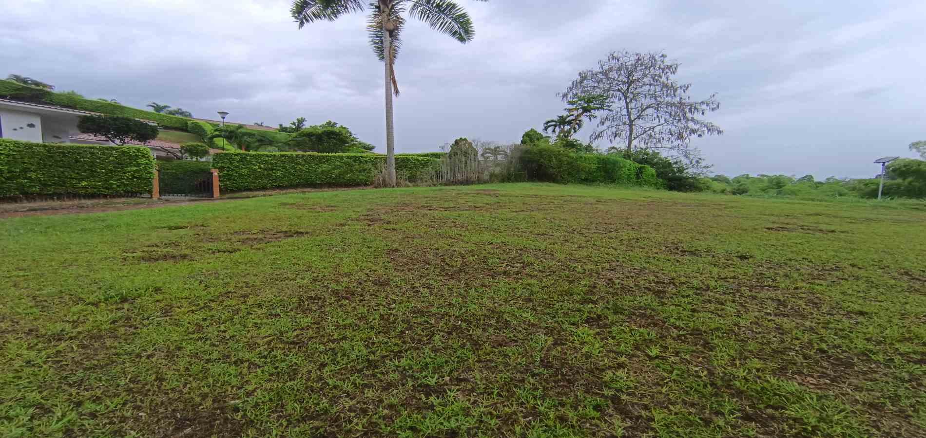 Foto de Lote / terreno en Venta en Vereda la trinidad, Manizales - 24 - 279069692