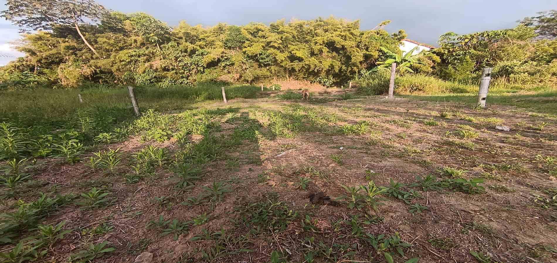 Foto de Lote / terreno en Venta en UrbanizaciÓn santana, Armenia  - 26 - 279059323