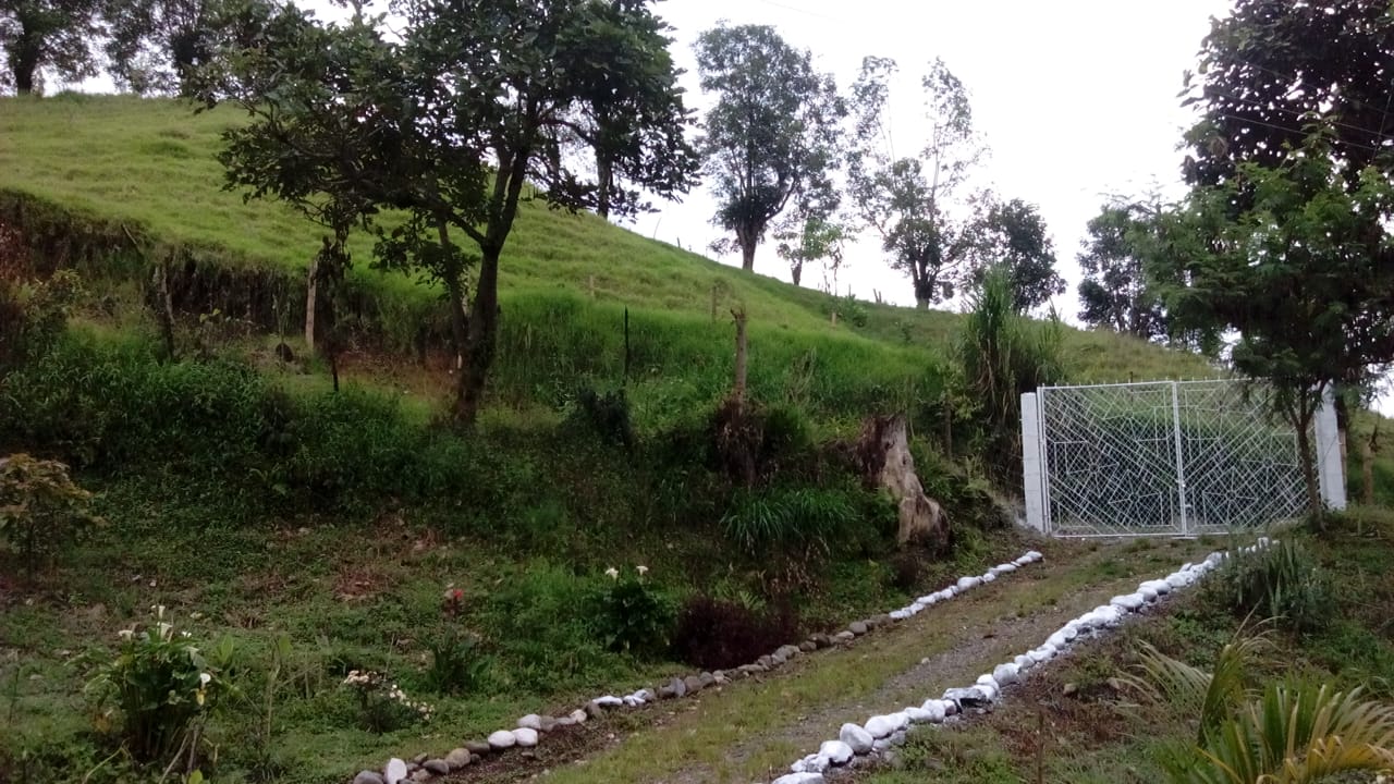 Foto de Finca en Venta en La florida, Pereira - 3 - 279060579