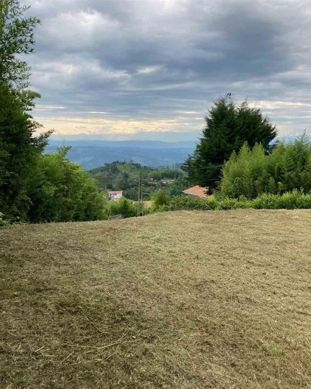 Foto de Lote / terreno para Venta en Arenillo, Manizales - 279061358