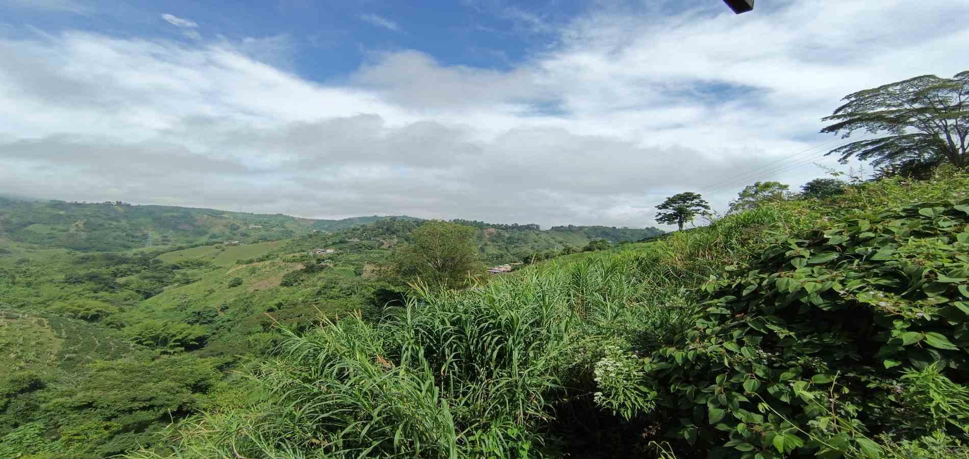 Foto de Finca en Arriendo en El descanso, Neira - 22 - 279069828