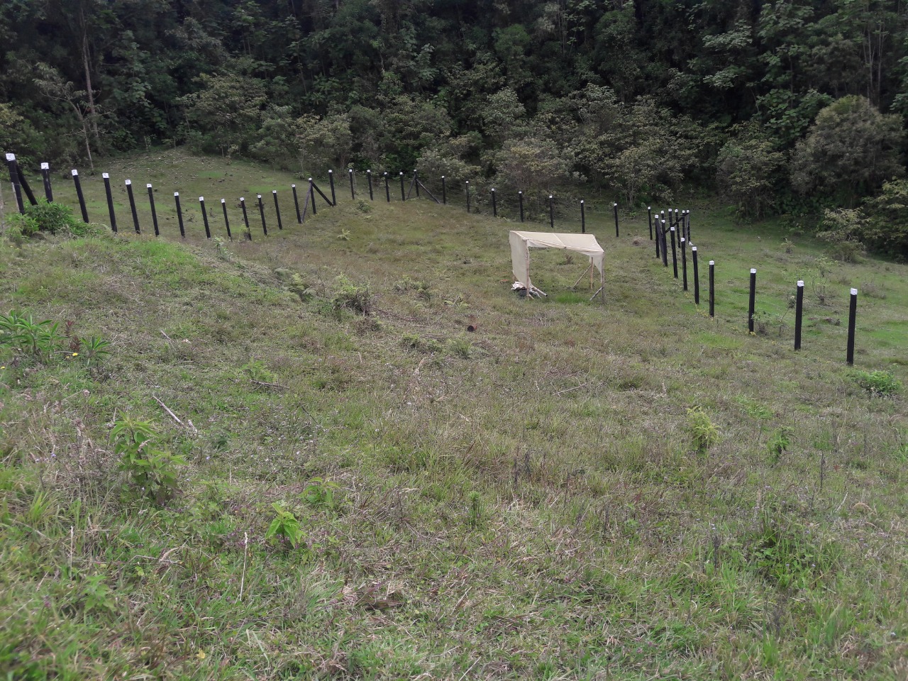 Foto de Lote / terreno para Venta en Alto del roble, Neira - 53136