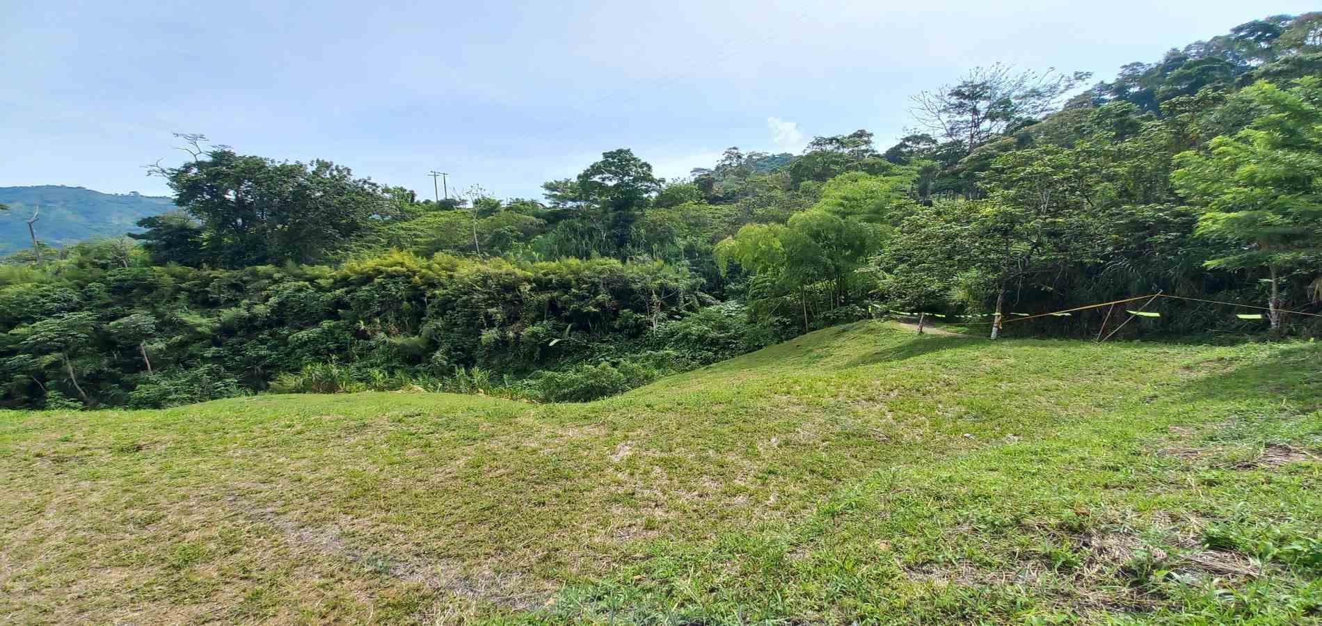 Foto de Lote / terreno en Venta en Combia, Pereira - 5 - 279069588