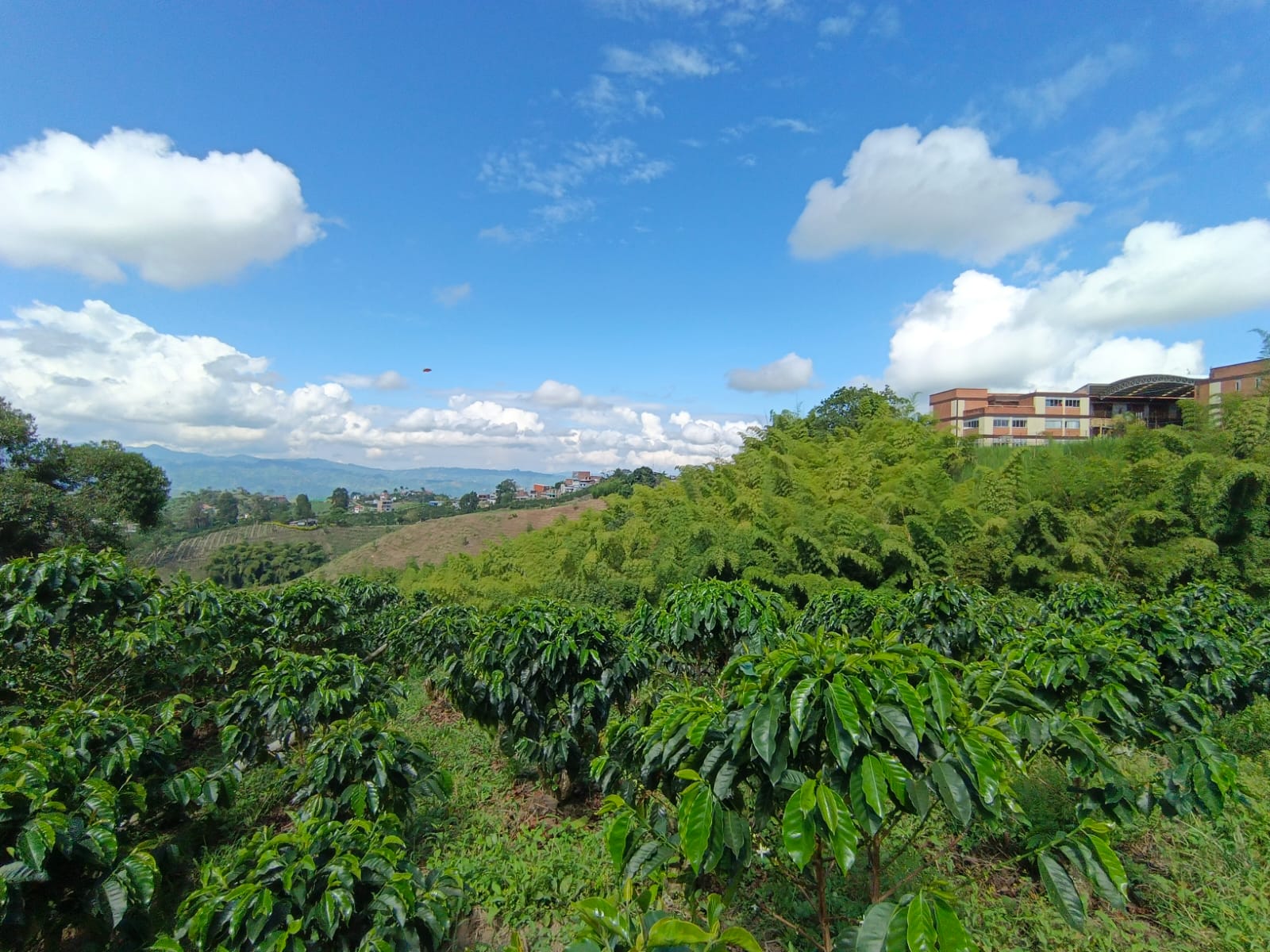 Foto de Lote / terreno en Venta en Las pavas, Manizales - 9 - 279067665