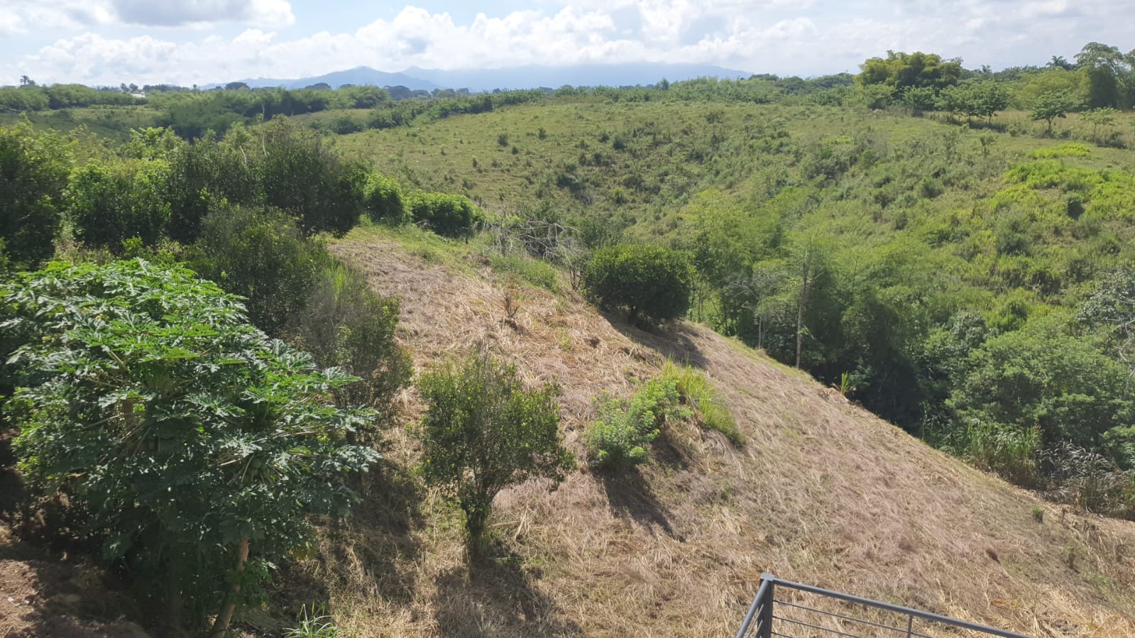 Foto de Lote / terreno en Venta en La virginia, Pereira - 4 - 279065492